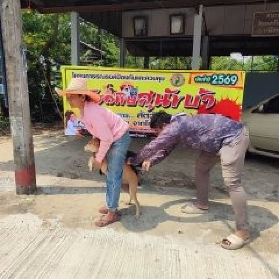 ฉีดวัคซีนป้องกันโรคพิษสุนัขบ้า ตามโครงการสัตว์ปลอดโรค คนปลอดภัย จากโรคพิษสุนัขบ้า 2569
